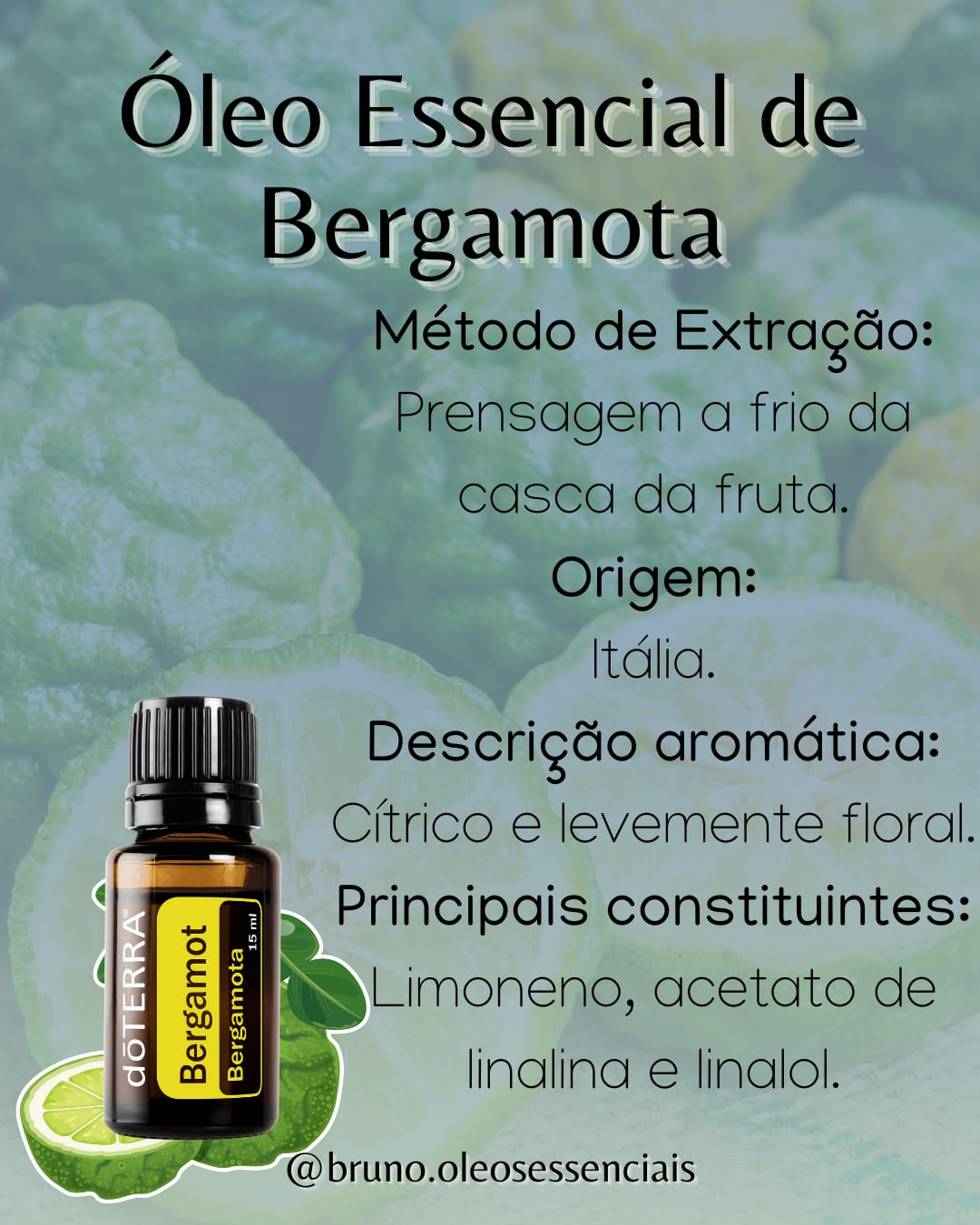 Bergamota