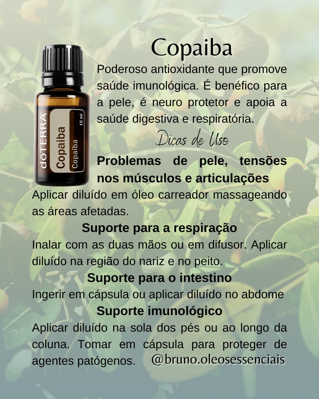 Copaiba