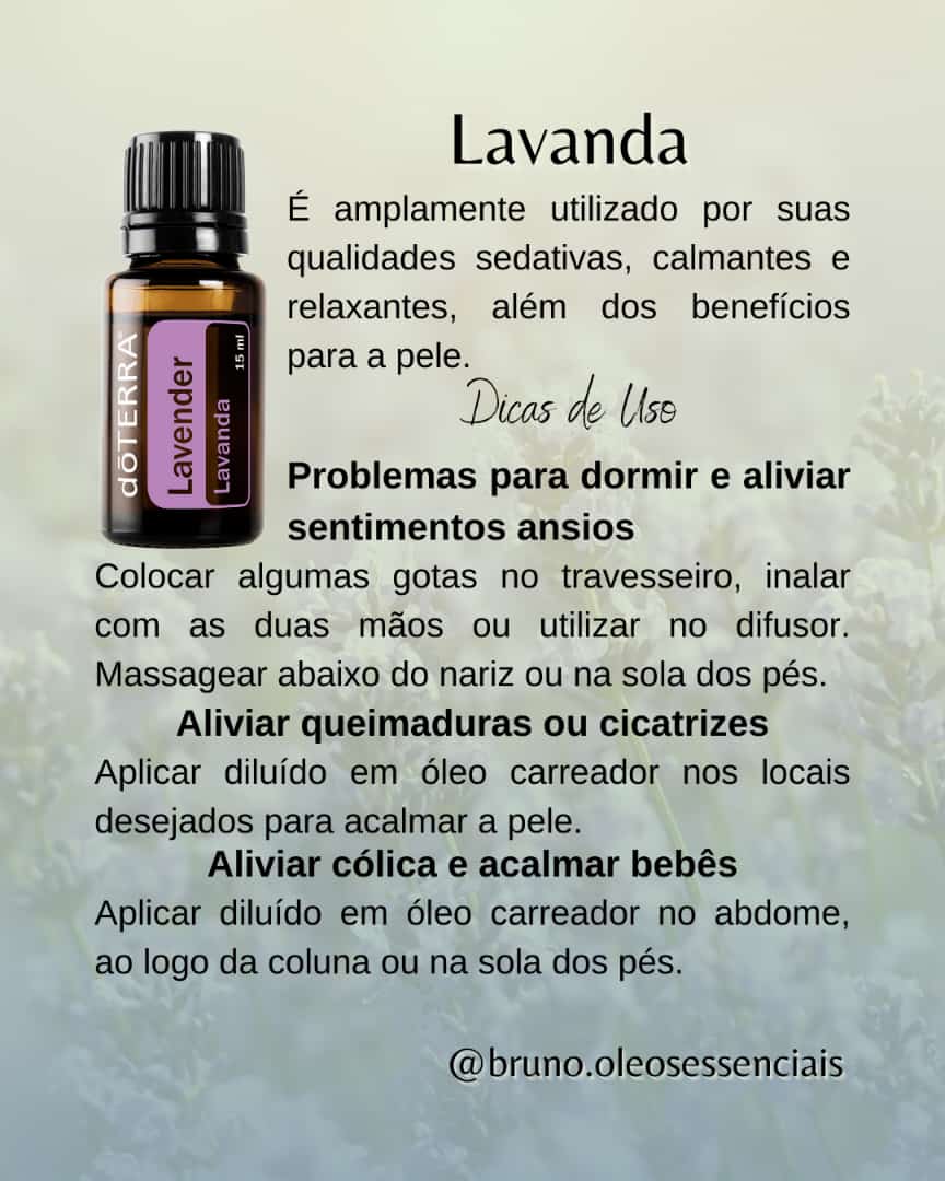 Lavanda