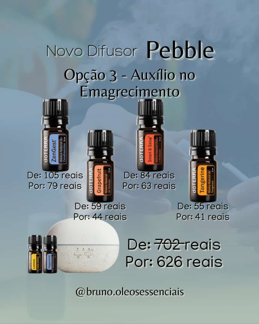 Opção 3