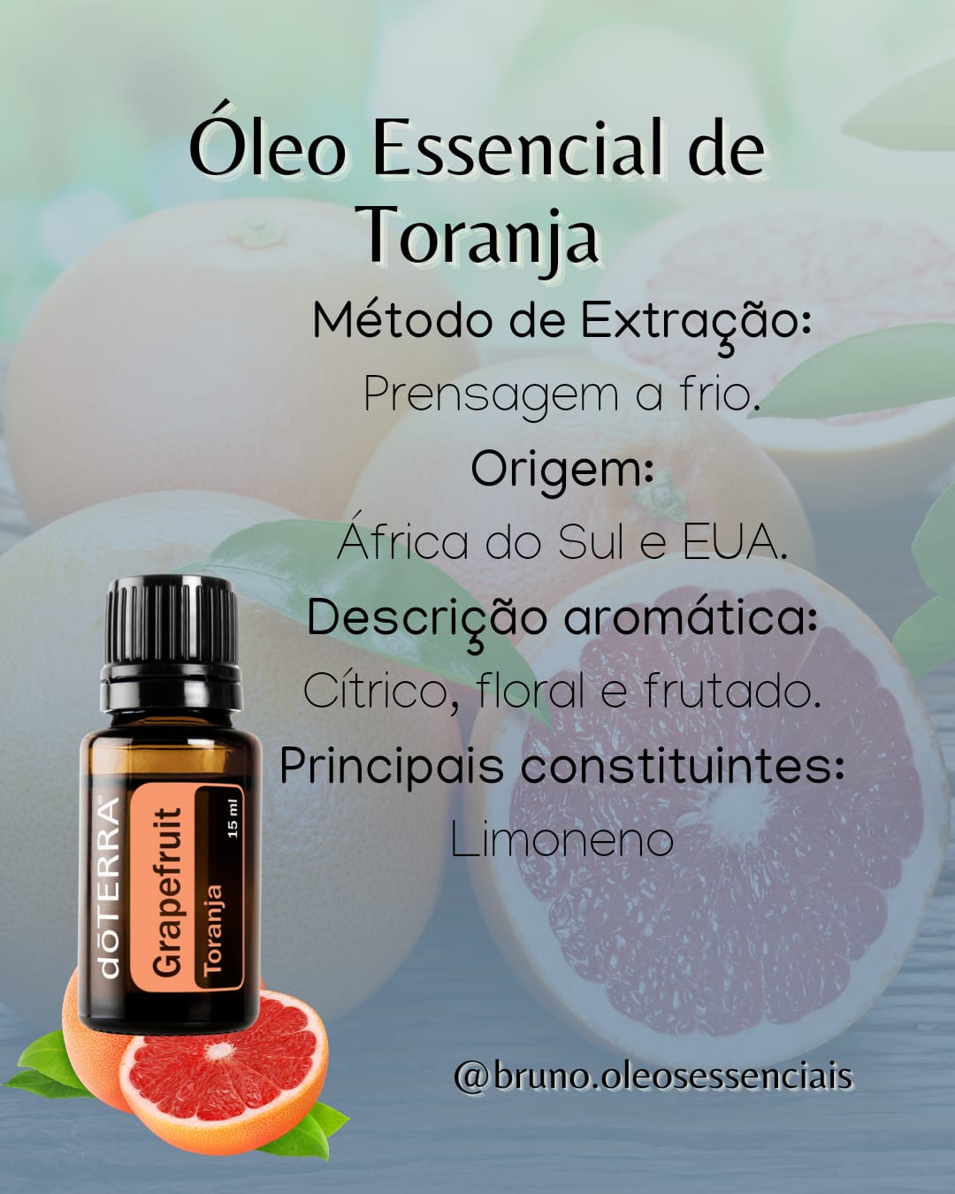 Toranja